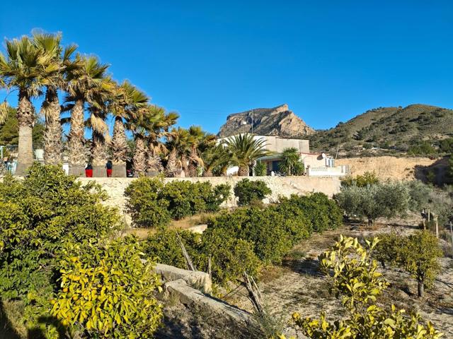 CAMPO EN PETRER CUENTA CON 2 CASAS Y BALSA CERCA PUEBLO photo 0