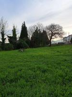 Terreno Urbanizable En venta en Belvís-Tabeaio. 15182, Carral (la Coruña), Carral photo 0