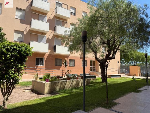 Piso con terraza, garaje y zonas comunes en Urbanización Milenio – Zona Juncal photo 0