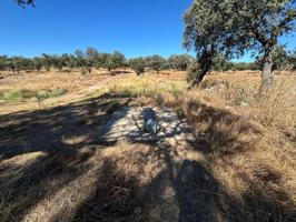 ¡Venta de Finca Agrícola y Ganadera! photo 0