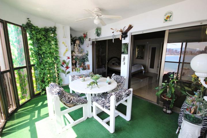 Apartamento en Benidorm photo 0