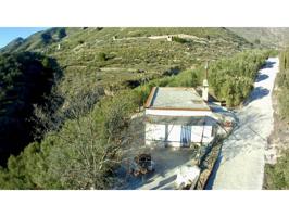 Nave Agrícola, (oficialmente un edificio agrícola). con 15000m2 de terreno plantado con más de 400 olivos, almendros y e photo 0