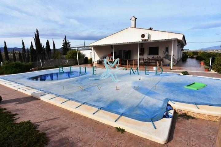 FINCA CON CASA GRANDE, PARCELA Y ARBOLES FRUTALES photo 0