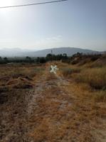 TERRENO CON BALSÓN Y CASETA EN ALHAMA DE MURCIA photo 0