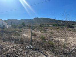 PARCELA EN CAMPO DE LORCA photo 0