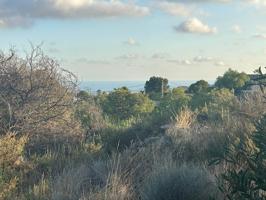 PARCELA CON VISTAS EN LA VENTA SAN FELIPE photo 0