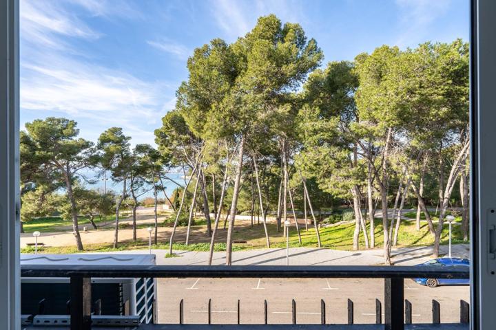 ESTUDIO EN SALOU CON VISTAS AL MAR photo 0