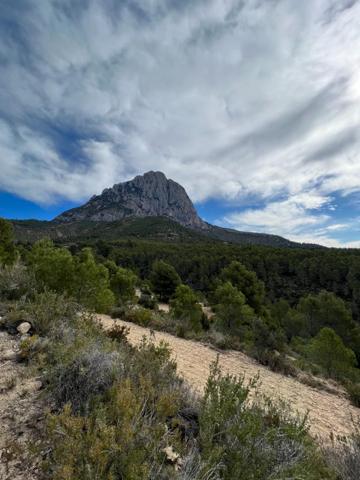 SE VENDE PARCELA RUSTICA EN FINESTRAT photo 0