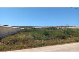 Terreno Urbanizable En venta en Paraje La Molina, 26, El Ejido photo 0
