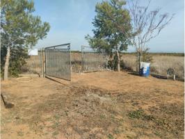 EN VENTA PARCELA-HUERTO VALLADO EN ALMENARA photo 0