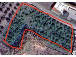 EN VENTA TERRENO-HUERTO EN ALBALAT DELS TARONGERS CAMINO ACCESO ASFALTADO photo 0