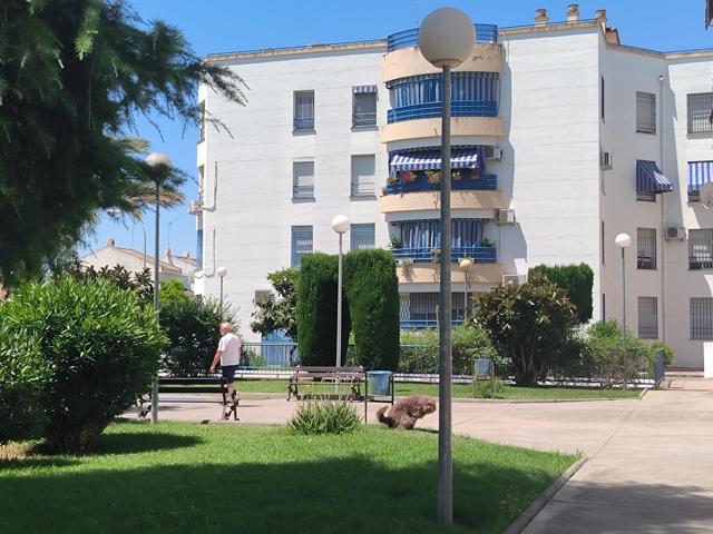 Amplio piso con terraza, cochera y trastero en Miralbaida (en urbanización ajardinada) photo 0
