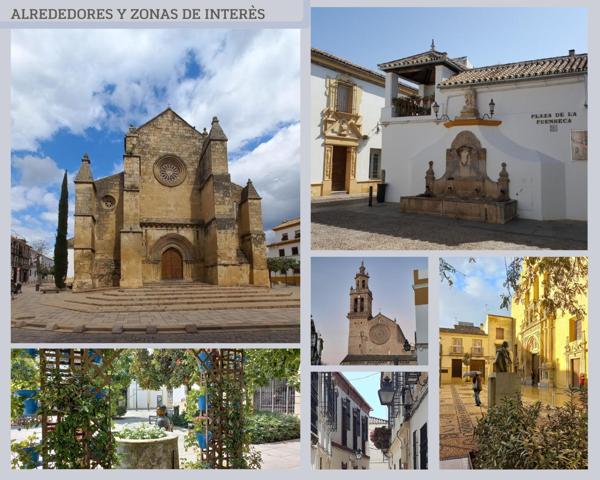 Fabulosa vivienda en el corazón del casco histórico (al lado del Palacio de Viana) photo 0