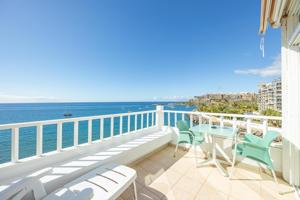 🌅 Patalavaca • Estudio excepcional en el Edificio Don Paco photo 0