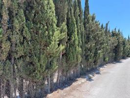 Parcela en Benissa: 5005 m² con Casita de Herramientas, Luz y Agua a Solo 8 km del Mar photo 0