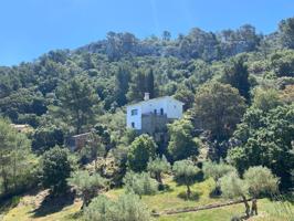 CASA RUSTICA EN PUIGPUNYENT. photo 0