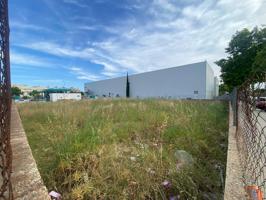 SOLAR INDUSTRIAL EN PALMA photo 0