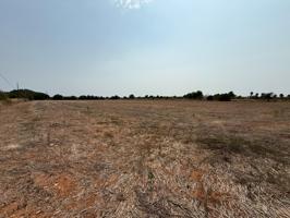 SOLAR EDIFICABLE EN CAMPOS. photo 0