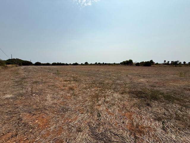 SOLAR EDIFICABLE EN CAMPOS. photo 0