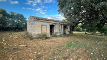 FINCA RUSTICA EN PETRA photo 0