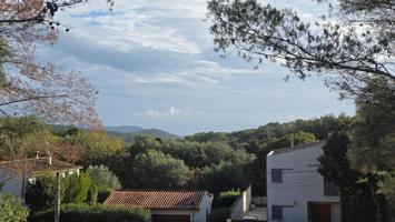 SOLAR URBANO EN CAMPANET. photo 0