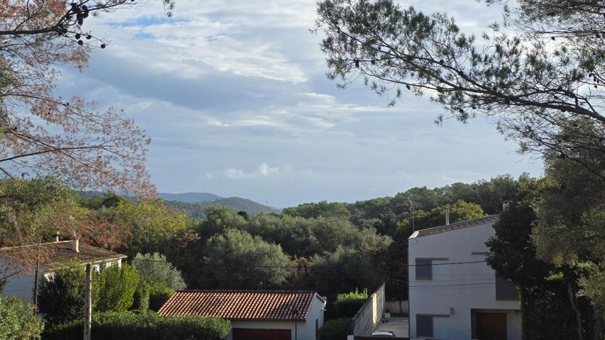 SOLAR URBANO EN CAMPANET. photo 0