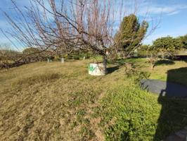 OPORTUNIDAD EN EL RINCON PUNTA UMBRIA photo 0