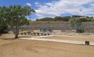 TERRENO RUSTICO CON USO PRINCIPAL AGRARIO EN VENTA EN ARENYS DE MAR, BARCELONA photo 0