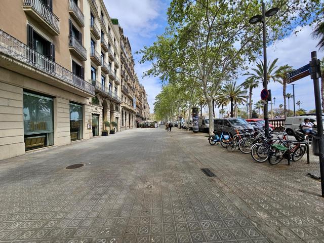GRAN OPORTUNIDAD: PISO CÉNTRICO DE 132 M² CERCA DEL PUERTO DE BARCELONA photo 0