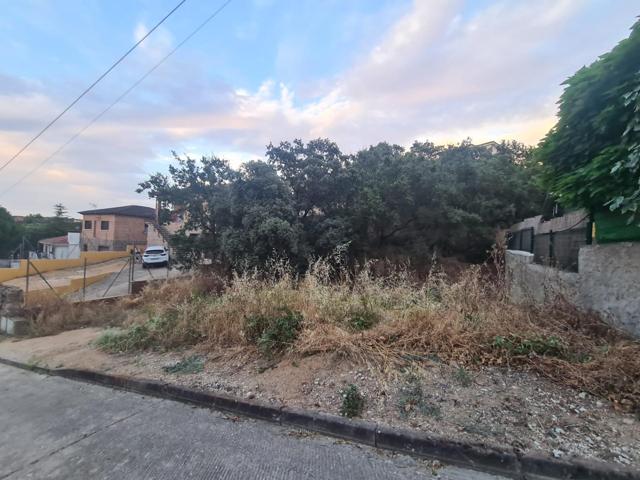 Económica parcela en Mesones a la venta. photo 0