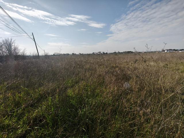 🌿 ¡Oportunidad Única! Amplia Parcela Rústica en Fuente el Saz – 11.895 m² 🌿 photo 0