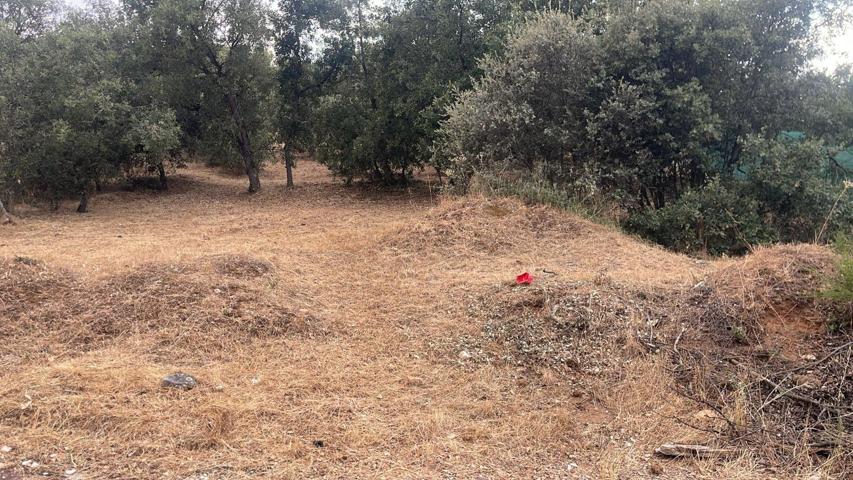 Terreno Urbanizable En venta en Mesones, El Casar photo 0