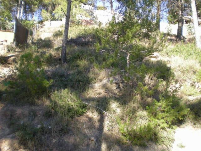 PARCELA EN VENTA photo 0