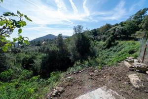 🌿 SE VENDE TERRENO AGRÍCOLA EN TORDERA – 10.176 m2 🌿 photo 0