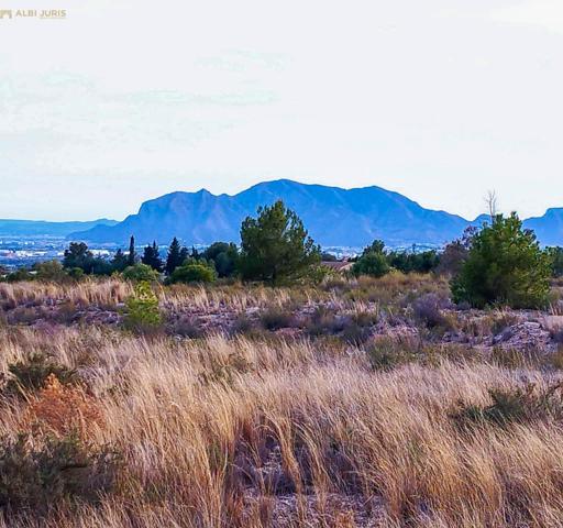Terreno Urbanizable En venta en Trasvase., Crevillent photo 0