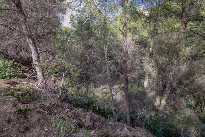 Terreno Urbanizable En venta en Benissa Pueblo, Benissa photo 0