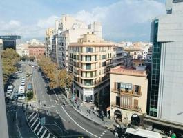 Frente a El Corte Inglés, en Palma photo 0