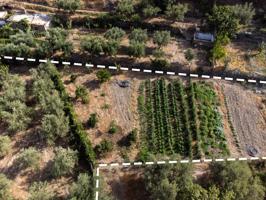 ¡Terreno con Olivos en Paraje Cajedilla, Nacimiento - Ideal para tu Proyecto Rural! photo 0