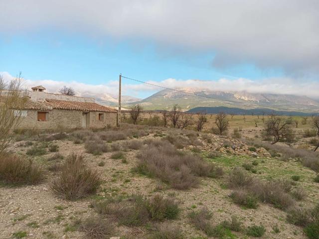 Terreno Urbanizable En venta en Vélez-Rubio photo 0