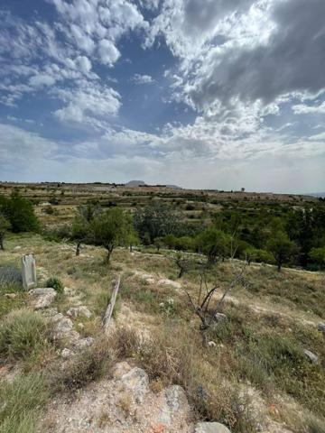 Terreno Urbanizable En venta en Acequia De Los Molinos. 04830, Vélez-Blanco (almería), Vélez-Blanco photo 0