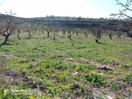 Terreno en venta en Retamar - Dúrcal photo 0