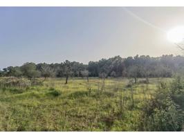 Terreno en venta en Sant Antoni de Portmany photo 0