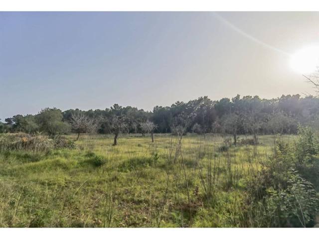 Terreno en venta en Sant Antoni de Portmany photo 0