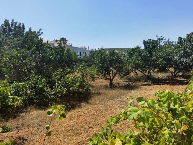 Terreno Urbanizable En venta en Santa Eularia Des Riu photo 0
