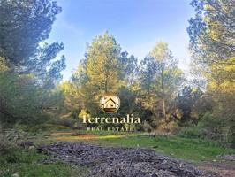 Terreno en venta en Sant Josep de sa Talaia photo 0