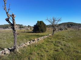 Finca rustica en venta en Santa Eulària des Riu photo 0
