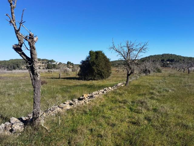 Finca rustica en venta en Santa Eulària des Riu photo 0