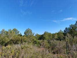 Oportunidad Única para Amantes de la Naturaleza: Terreno Rústico Forestal en Venta en Es Cubells photo 0