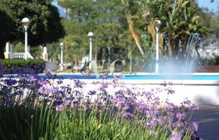 Apartamento en Venta en Torre Del Mar Málaga photo 0