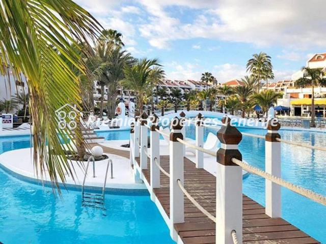 Estudio, Parque Santiago III, Playa de las Americas, Arona photo 0